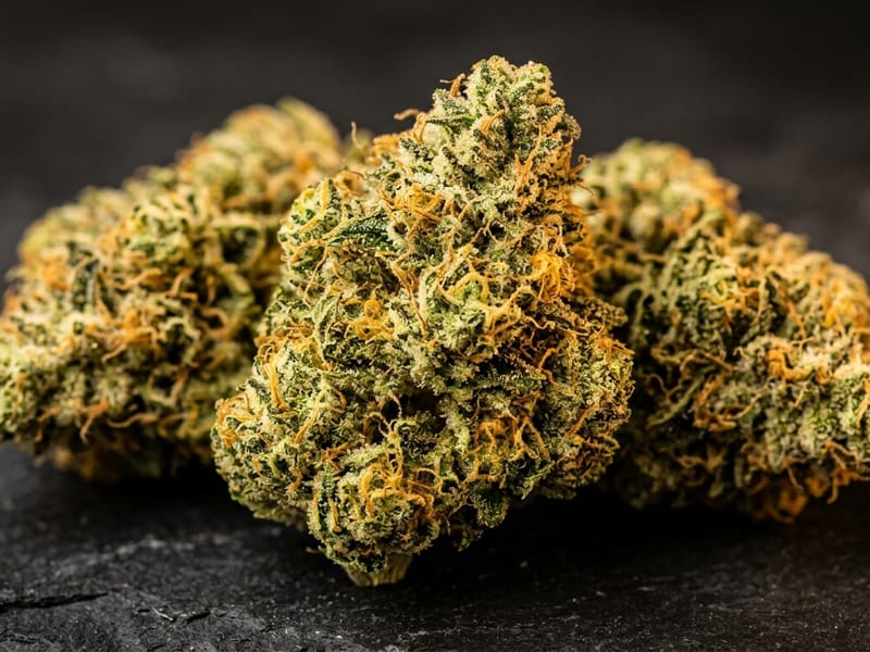 Malcolm OG